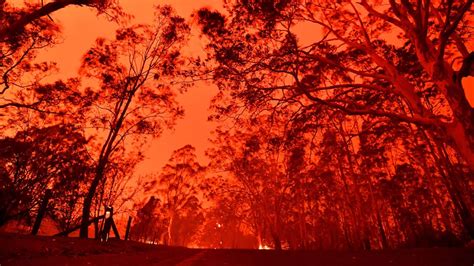 Australian fires: Everything we know about the crisis and how you can help - CNET