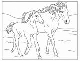 Wild Horses 2 32 Printable Coloring Page Horse  Home sketch template