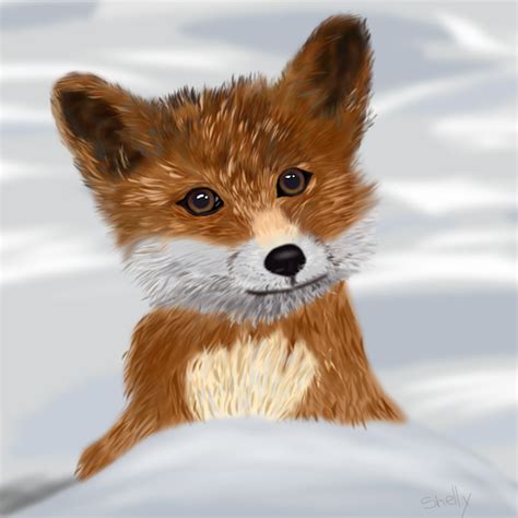 Baby Fox in the Snow » drawings » SketchPort