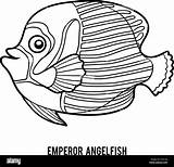 Coloring Book For Children Emperor angelfish Stock Vector Image & Art  sketch template