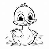 Duck Coloring Page Cute Ducks To Color Awesome Duck  sketch template