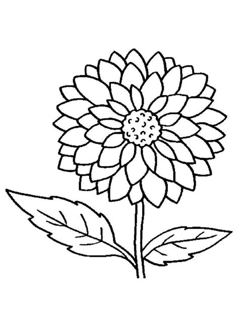 Flower Pdf Coloring Pages