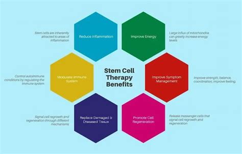 The Stages of ALS: Understanding the Progression of the Disease | Swiss ...