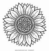Find Vector Illustration Flower Mandala Coloring Page Stock Images In  sketch template