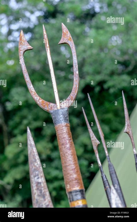 Example of hand-made fishing spear - a revival of primitive skills for bushcraft enthusiasts ...