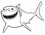 Finding Nemo Shark Coloring Sheet Coloring Pages sketch template