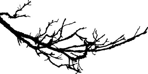Dead branches clipart 20 free Cliparts | Download images on Clipground 2024