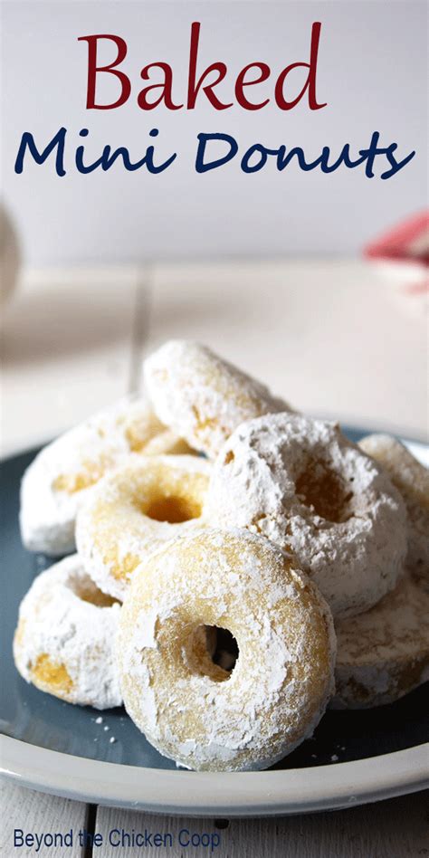 Baked Mini Donuts | Recipe | Homemade donuts, Creative dessert recipes, Baking
