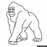 Jungle Animals Online Coloring Pages sketch template
