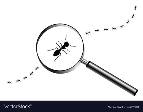 Magnifying glass with marching ants Royalty Free Vector