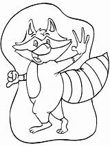 Raccoon Coloring Pages & coloring Book sketch template