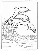 Dolphin Printable Coloring Pages sketch template