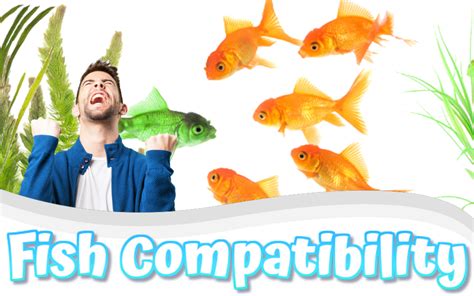 Freshwater Fish Compatibility Chart Archives - Aquarist