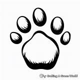 Bear Paw Coloring Pages  Free & Printable sketch template