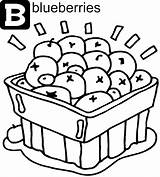 Blueberry Coloring Pages  Best For Kids sketch template