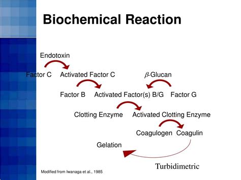 PPT - Limulus Amebocyte Lysate (LAL) Test Methods PowerPoint ...