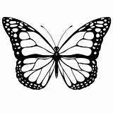 Print Butterflies To Color At Sasmarkblog Blog sketch template