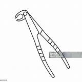 Dental Extraction Forceps Outline Icon Stock Illustration  Download sketch template