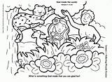 God Made Everything Coloring Page  Home sketch template