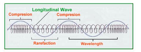 10 Differences Between Longitudinal And Transverse Waves (With Examples ...