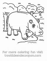 Cute Hippo Coloring Pages For Kids And Adults sketch template