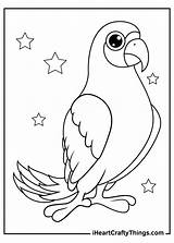 15 Parrot Coloring Pages 100% Free Printables sketch template