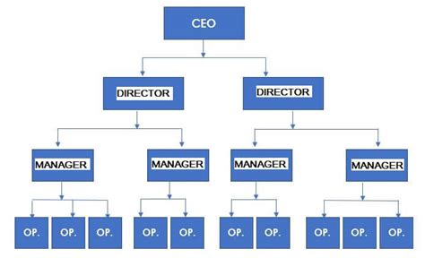 5 Organizational Structure Examples | Which to use?