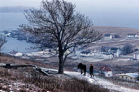 Most popular | Man and Horse, Carbonear, Newfoundland, Canada | Newfoundland, Newfoundland ...