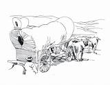 Wagons Oregon Trail Coloring Pages sketch template