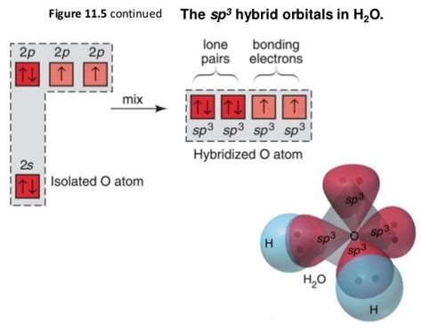 Difference Between Hybrid Orbitals And Molecular Orbitals Formation | Images and Photos finder