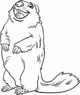 Disegno Marmotta 1 Animali Da Colorare  Vrogueco sketch template