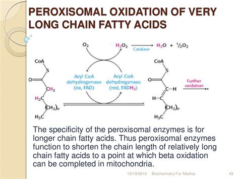 Fatty acid oxidation