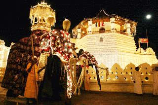 SAMEERA'S BLOG: NUWARA PERAHERA SRI LANKA