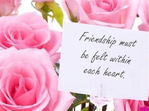 🔥 Download Friendship Wallpaper And Quotes by @jstevenson25 | Friend Quotes Wallpapers, Best ...