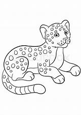16  Simple Jaguar Coloring Pages Judith E Cole sketch template