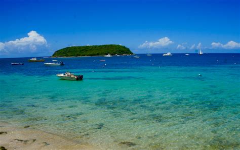 Beyond the Postcard: Vieques Island in Puerto Rico