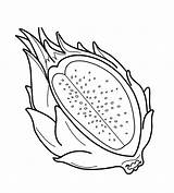 Dragon Fruit Coloring Does The Pitaya Really Exists In  sketch template