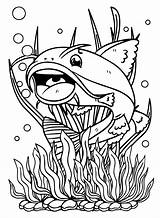 30  Catfish Coloring Pages Free Printable PDF JPG PNG & Online sketch template