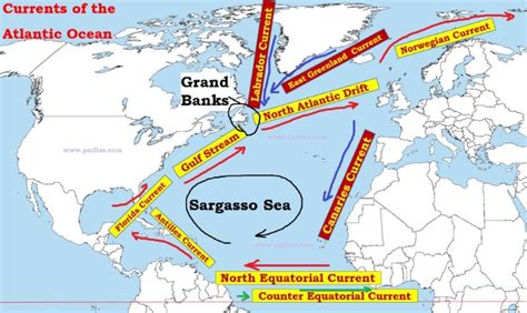 Atlantic Ocean Currents | Sargasso Sea - PMF IAS