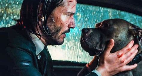 Keanu Reeves | Best dogs, Dogs, Dog lovers