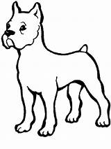 Boxer Dog Coloring Pages At GetColoringscom  Free Printable Colorings sketch template