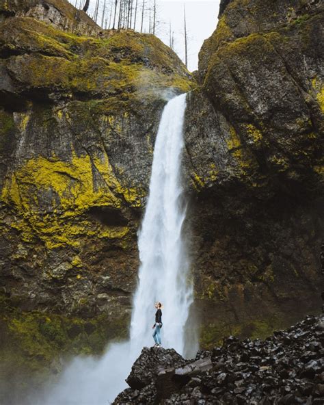 15 Best Waterfalls Near Portland Oregon: Quick Guide - Miss Rover