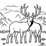 Elk Family In The Meadow Coloring Page  Pagescom sketch template