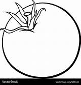 Tomato timer coloring Sheet  Houregram sketch template