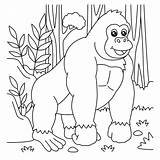 Gorilla Coloring Page For Kids 5073793 Vector Art At Vecteezy sketch template