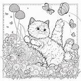 77 Cute Cat Coloring Pages For Kids And Adults  Our Mindful Life sketch template