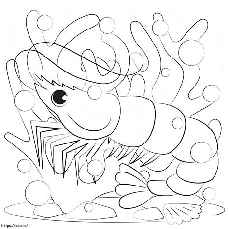 A Shrimp coloring page