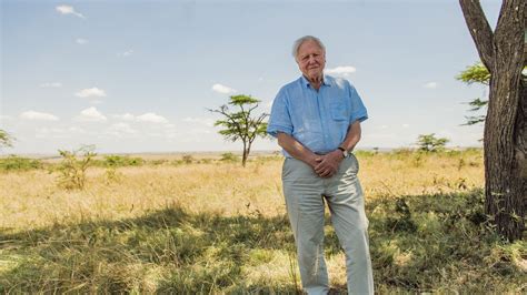 David Attenborough: A Life on Our Planet movie review : David Attenborough is out to save the ...