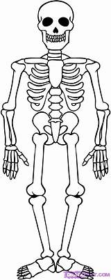 Skeleton coloring pages To Download And Print For Free sketch template