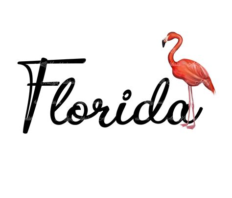 Florida Lettering PNG Florida Clipart Digital Download - Etsy Ireland